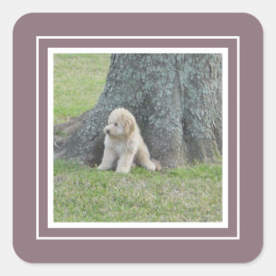 Aangepaste foto-sjabloon Afbeelding Paars en wit t Vierkante Sticker