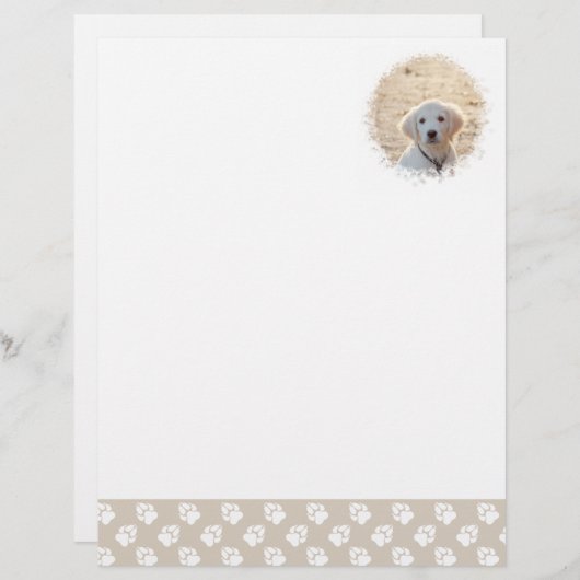 Aangepaste foto-sjabloon met beige en witte petten briefhoofd (Voorkant / Achterkant)