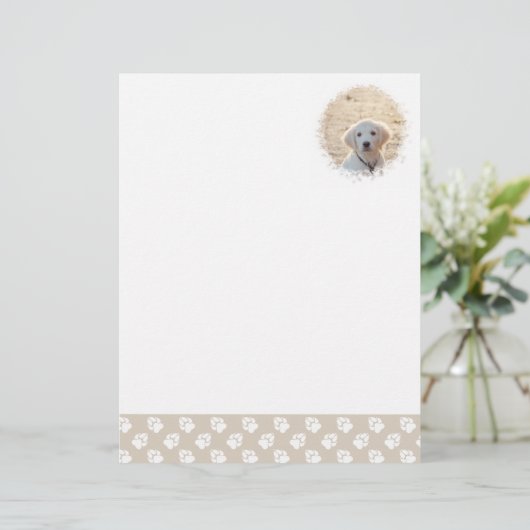 Aangepaste foto-sjabloon met beige en witte petten briefhoofd (Staand voorkant)