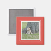 Aangepaste foto sjabloon modern eenvoudig chic roo magneet (Voorkant / Achterkant)