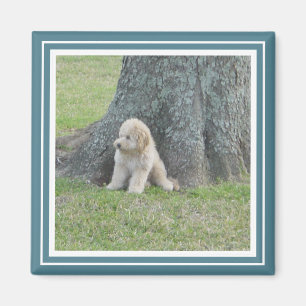 Aangepaste foto sjabloon modern turquoise & wit magneet
