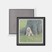 Aangepaste foto sjabloon True zwart-wit Magneet (Voorkant / Achterkant)