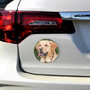 Aangepaste foto-sjabloon voor aangepaste dog-kat-f automagneet