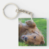 Aangepaste foto-Sleutelhanger Pet Sleutelhanger (Voorkant)