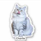 Aangepaste foto Stickers | Gepersonaliseerde Vinyl (Voorkant)