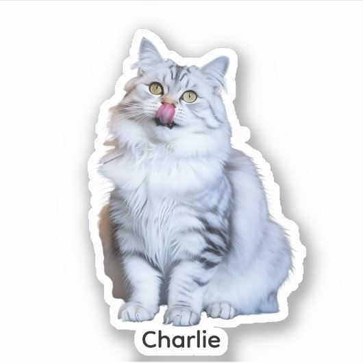 Aangepaste foto Stickers | Gepersonaliseerde Vinyl (Voorkant)