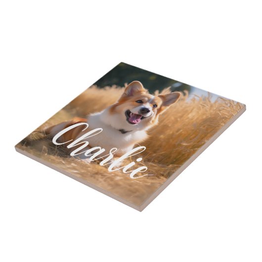 Aangepaste foto tegeltje (Zijkant)