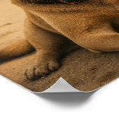 Aangepaste foto & tekst Retro strandposter Poster (Hoek)