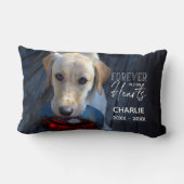 Aangepaste foto-toetsenbord kussen (Achterkant)