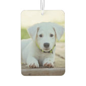 Aangepaste foto uniek uw eigen ontwerp - Dierenlie Luchtverfrisser (Achterkant)