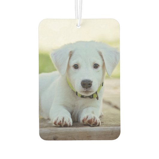 Aangepaste foto uniek uw eigen ontwerp - Dierenlie Luchtverfrisser (Achterkant)