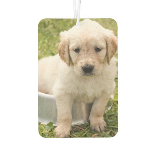 Aangepaste foto van Air Freshener - I Love Pets Luchtverfrisser (Achterkant)
