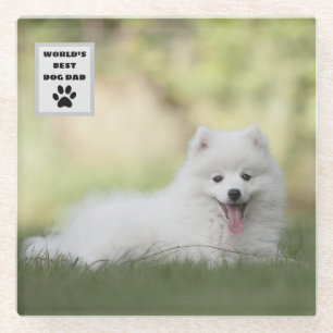 Aangepaste foto van beste hond van de wereld glazen onderzetter