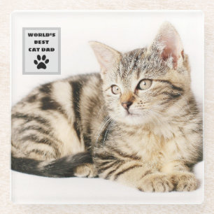 Aangepaste foto van beste kattevader ter wereld glazen onderzetter