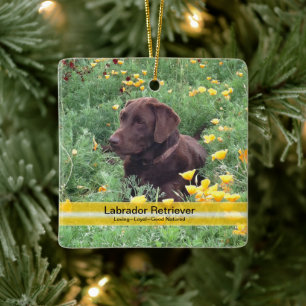 Aangepaste foto van Chocolate Lab Flower Keramisch Ornament