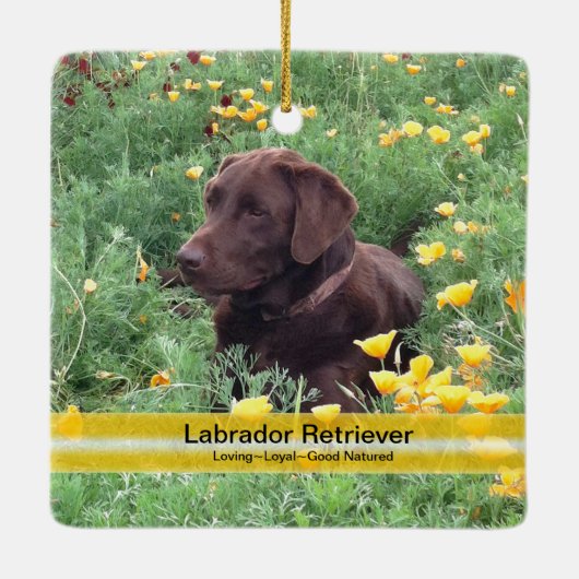 Aangepaste foto van Chocolate Lab Flower Keramisch Ornament (Achterkant)