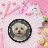 Aangepaste foto van Cute Pet Birthday Papieren Bordje (Feest)