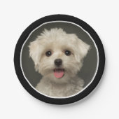 Aangepaste foto van Cute Pet Birthday Papieren Bordje (Voorkant)