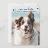 Aangepaste foto van de Dog Wedding Pet waarop de d Save The Date (Voorkant)