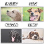 Aangepaste foto van Dog en naam van Dog Persoonlij Sticker (Voorkant)