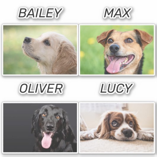 Aangepaste foto van Dog en naam van Dog Persoonlij Sticker (Voorkant)