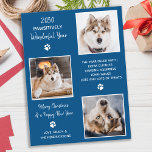 Aangepaste foto van Dog Pet Jaar in Review kerstmi Briefkaart<br><div class="desc">Het beste jaar ooit! Volgens de honden. Voeg een beetje schattige humor toe en stuur vakantiewensen met deze schattige en grappige 'Pawsitive Best Year Ever' - een foto-inkuilkaart voor honden. Het is een gekkenjaar geweest, en met de pandemie hebben veel mensen thuis gewerkt, wat betekent dat de honden blij zijn...</div>