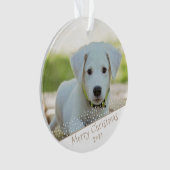 Aangepaste foto van Dog Pet met kerstfeestdag Ornament (voorkant)