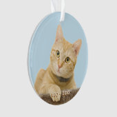 Aangepaste foto van een kat op een kerstboom ornament (voorkant)