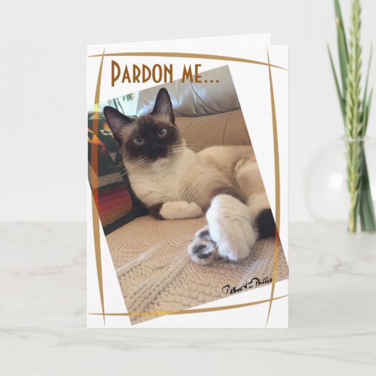 Aangepaste foto van een knappe Siamese kitten op c Kaart (Voorkant)