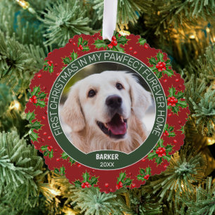 Aangepaste foto van een knuffel puppy op groene hu ornament kaart