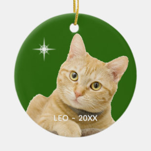 Aangepaste foto van een oranje tabby kat op groen keramisch ornament
