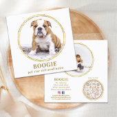 Aangepaste foto van Elegant Gold Dog sociale media Vierkante Visitekaartje