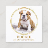 Aangepaste foto van Elegant Gold Dog sociale media Vierkante Visitekaartje (Voorkant)