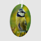 Aangepaste foto van geelborstblauwe chat ornament (voorkant)