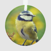 Aangepaste foto van geelborstblauwe chat ornament (achterkant)