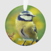 Aangepaste foto van geelborstblauwe chat ornament (voorkant)