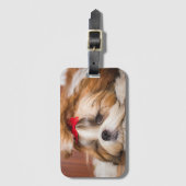 Aangepaste foto van je hond van een huisdier bagagelabel (Voorkant (verticaal))