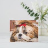 Aangepaste foto van je hond van een huisdier briefkaart (Staand voorkant)