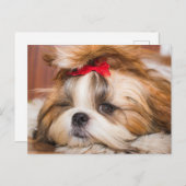 Aangepaste foto van je hond van een huisdier briefkaart (Voorkant / Achterkant)