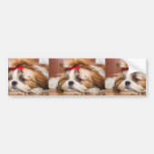 Aangepaste foto van je hond van een huisdier bumpersticker (Voorkant)