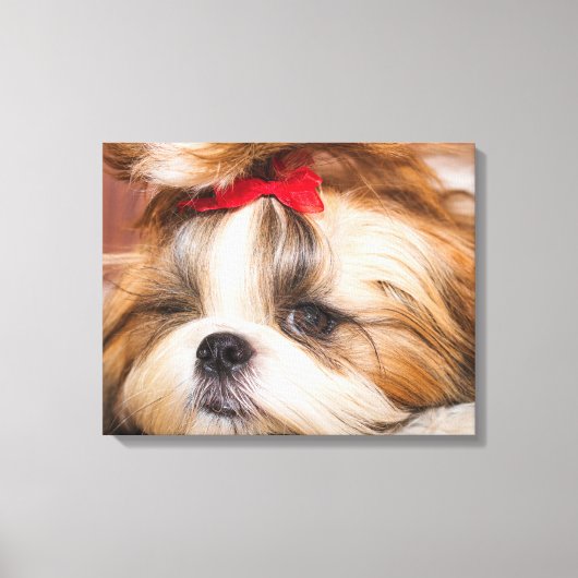 Aangepaste foto van je hond van een huisdier canvas afdruk (Voorkant)