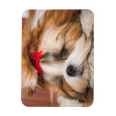 Aangepaste foto van je hond van een huisdier magneet (Verticaal)