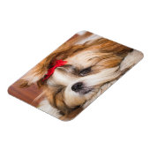 Aangepaste foto van je hond van een huisdier magneet (Linkerzijde)