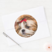 Aangepaste foto van je hond van een huisdier ronde sticker (Envelop)