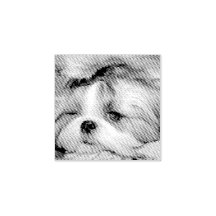 Aangepaste foto van je hond van een huisdier