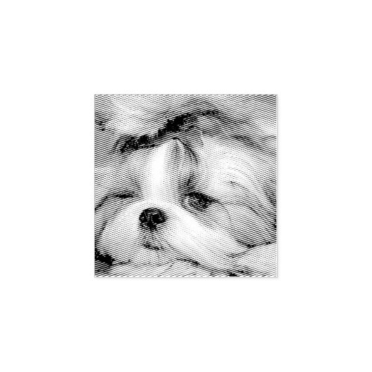 Aangepaste foto van je hond van een huisdier rubberstempel (Afrduk)