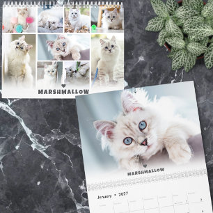 Aangepaste foto van knuffelhuisdierkat kalender