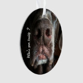 Aangepaste foto van Nose Chocolate Lab Nose Ornament (voorkant)