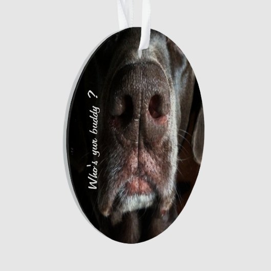 Aangepaste foto van Nose Chocolate Lab Nose Ornament (voorkant)