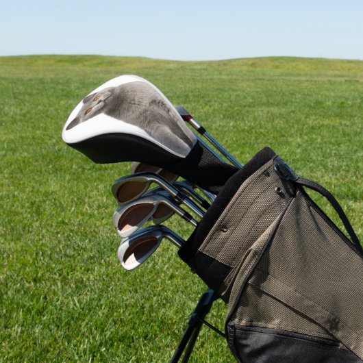 Aangepaste foto van pakket golfheadcover (Insitu)